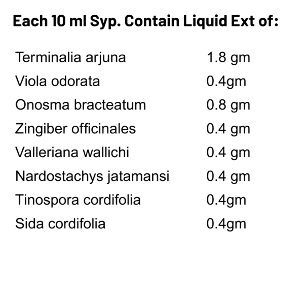 Carido- B Syrup - Image 3